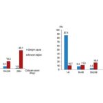 Girişim Özelliklerine Göre Dış Ticaret İstatistikleri, 2025