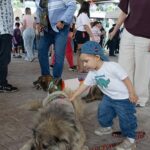 Karşıyaka’da can dostlar için dayanışma buluşması
