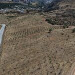 Kıraç topraklarda yeşil dönüşüm
