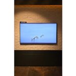 Samsung, Artweeks Istanbul’da  sanatı ekran teknolojileriyle buluşturuyor